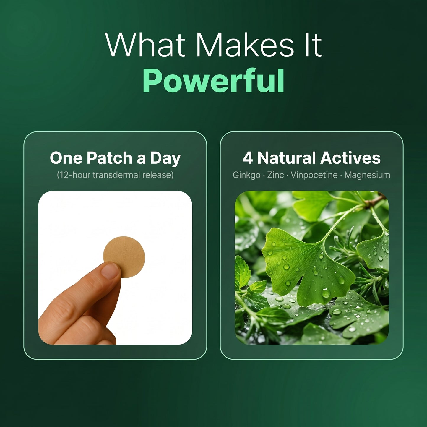Herbal Patches for Tinnitus, pack of 12 – TINICALM™
